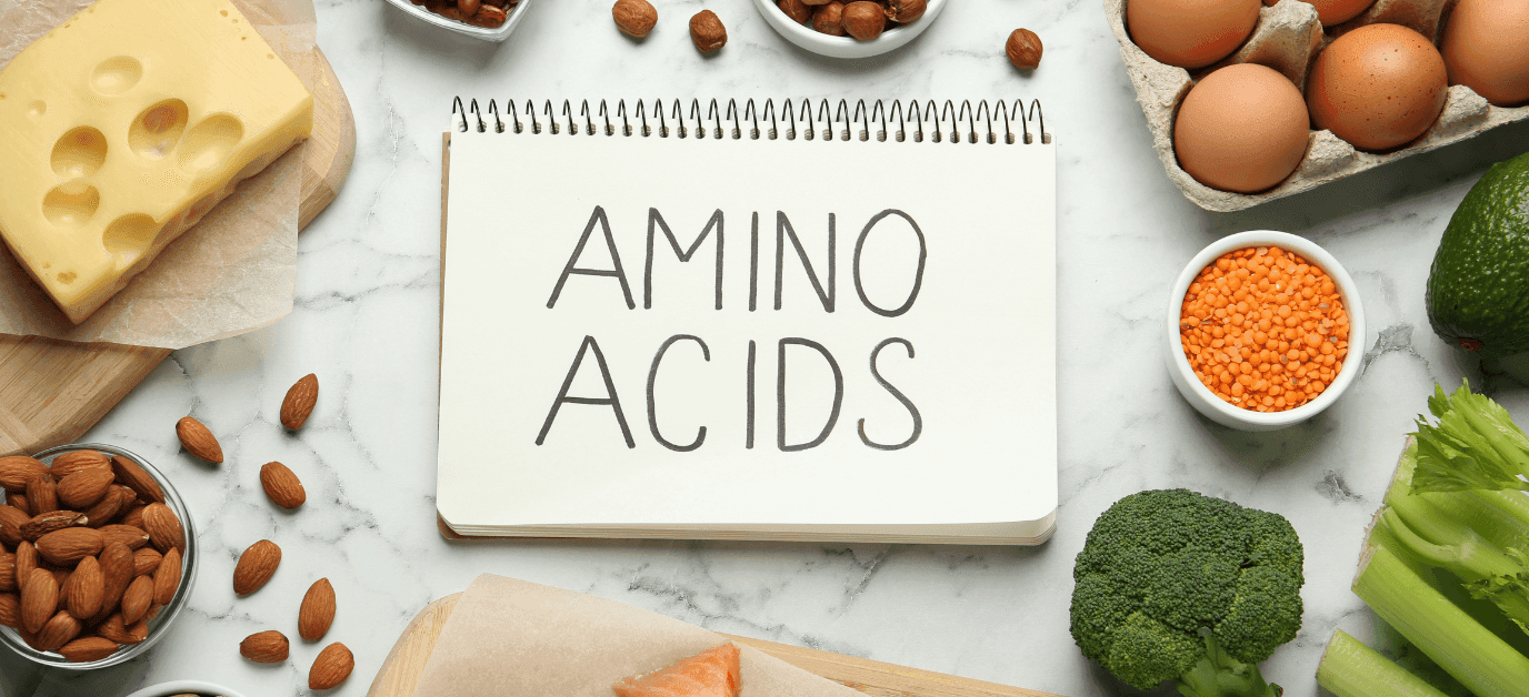 aminoacidss.png