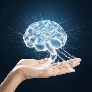 brain.png